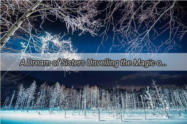 A Dream of Sisters Unveiling the Magic of Child Observation